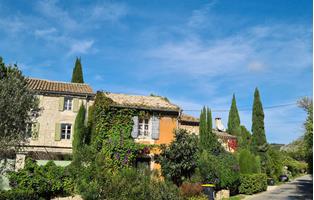 Provence & Camargue
